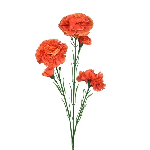 Karafiát – konár x5 65 cm orange K193